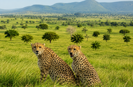 5 Days Kidepo Valley Safari